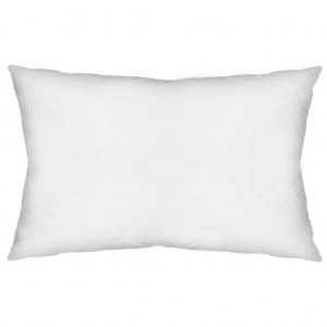 Alwyn Home Contemporary Rectangular Pillow Insert ANEW3246